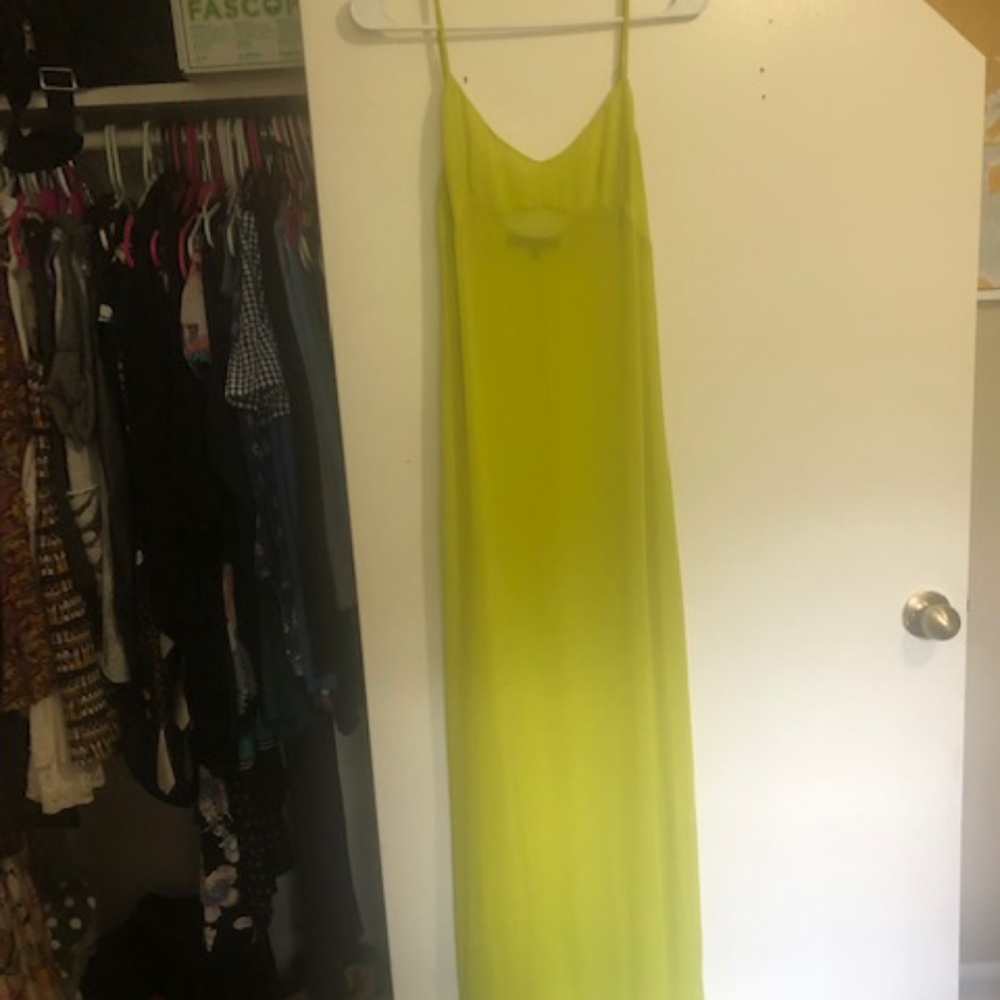 Sheer BCBG Maxi